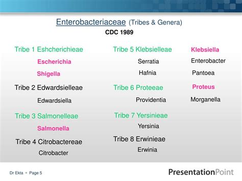 enterobacteriaceae list of bacteria.